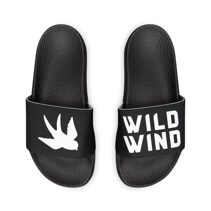 Wild Wind Swallow Slides