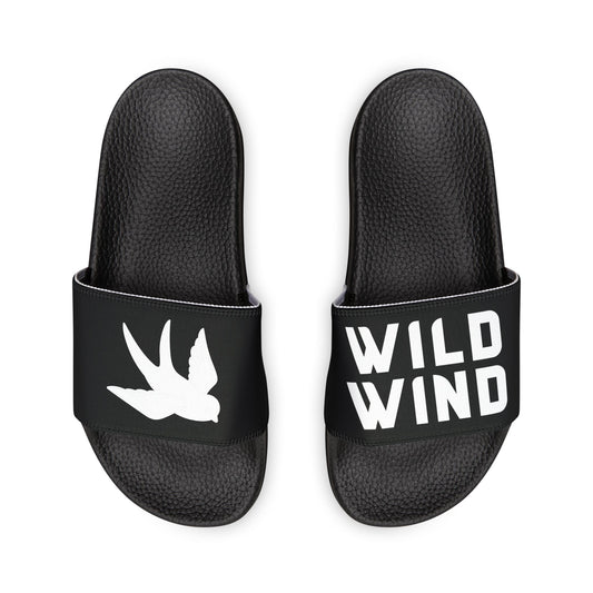 Wild Wind Swallow Slides