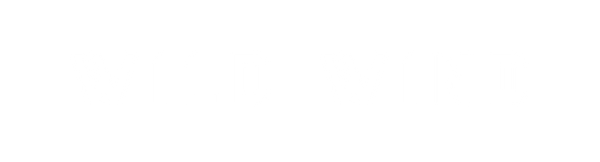 Wild Wind white logo